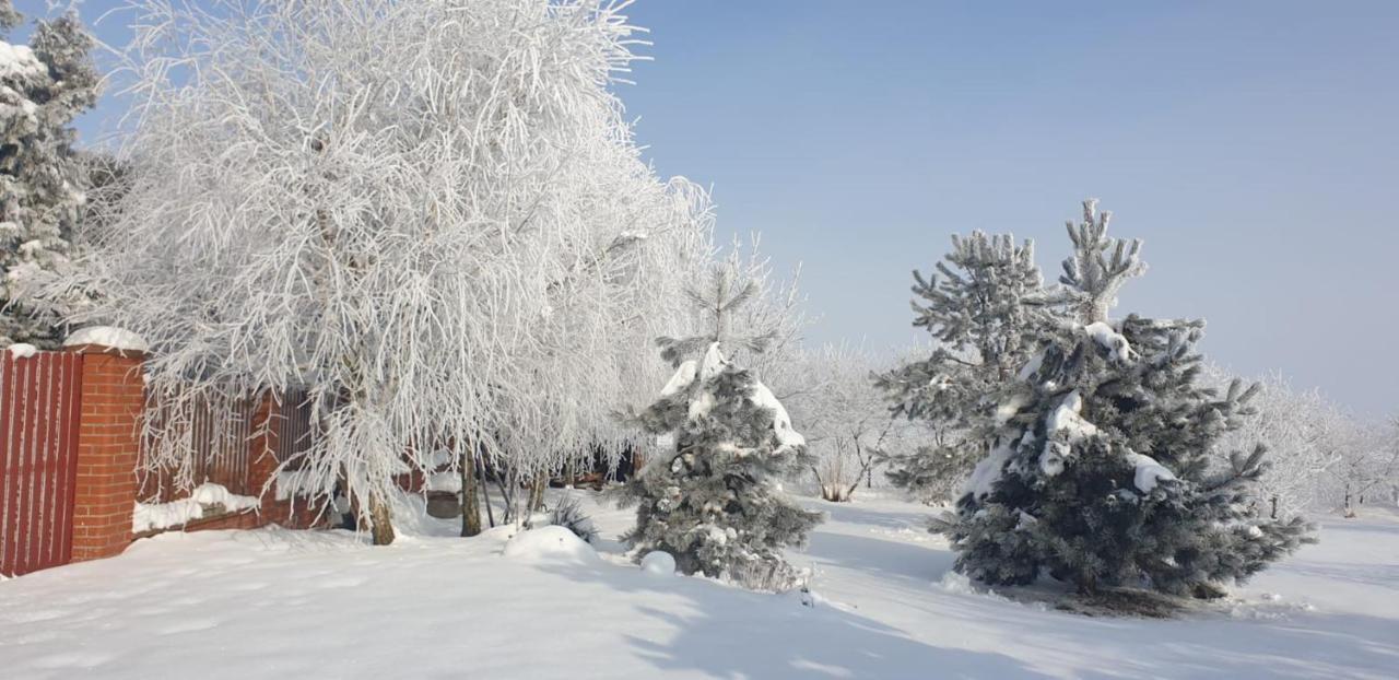 Bialowolskie Wzgorze Zamość エクステリア 写真