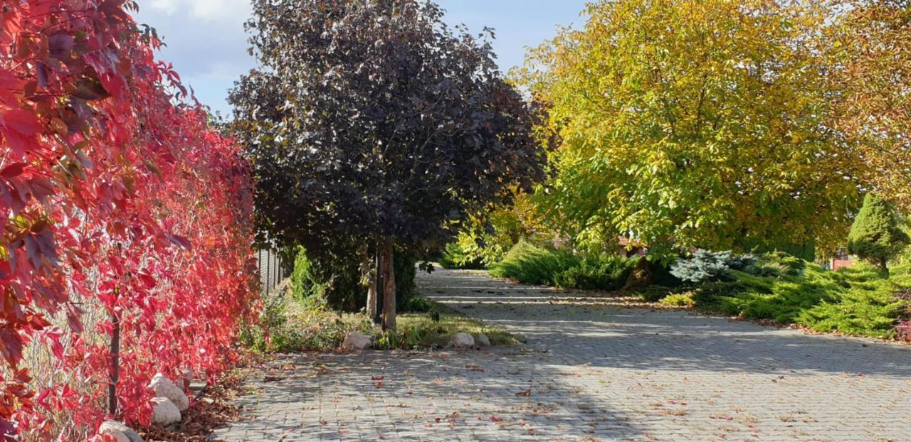 Bialowolskie Wzgorze Zamość エクステリア 写真